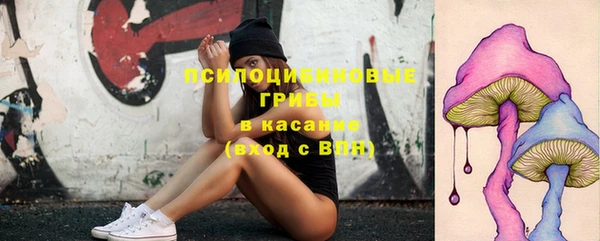 таблы Алексеевка