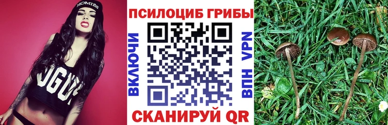 Галлюциногенные грибы MAGIC MUSHROOMS  площадка телеграм  Нюрба 